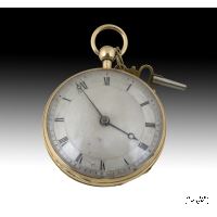 Catalina 18K Gold Watch · Ref.: AM0002904